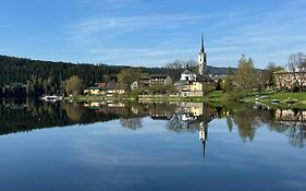 Wellness & Spa Apartments Lipno - Frymburk